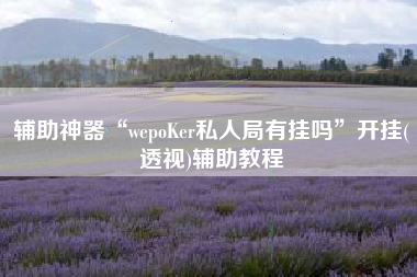 辅助神器“wepoKer私人局有挂吗	”开挂(透视)辅助教程