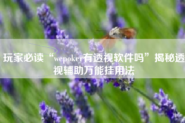 玩家必读“wepoker有透视软件吗”揭秘透视辅助万能挂用法