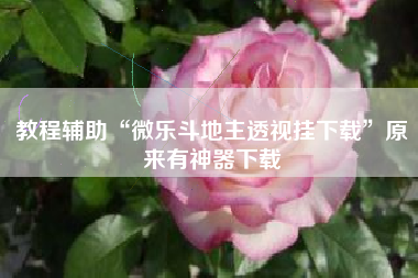 教程辅助“微乐斗地主透视挂下载	”原来有神器下载