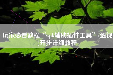玩家必看教程“wpk辅助插件工具	”(透视)开挂详细教程