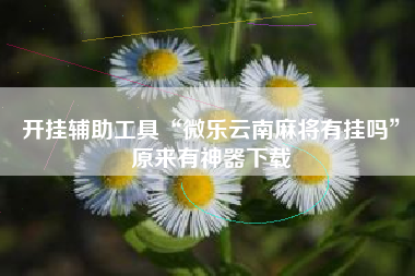 开挂辅助工具“微乐云南麻将有挂吗”原来有神器下载