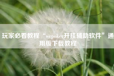 玩家必看教程“wepoker开挂辅助软件”通用版下载教程