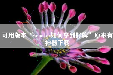 可用版本“wepoker如何拿到好牌”原来有神器下载