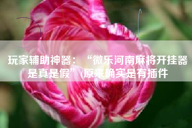 玩家辅助神器：“微乐河南麻将开挂器是真是假	”(原来确实是有插件