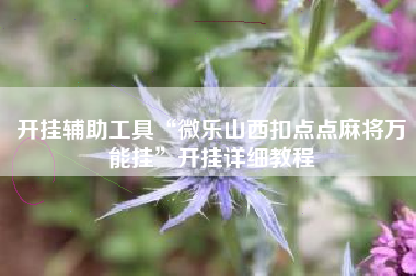开挂辅助工具“微乐山西扣点点麻将万能挂	”开挂详细教程