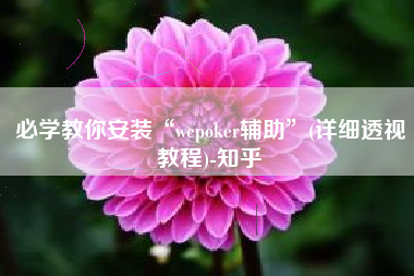必学教你安装“wepoker辅助”(详细透视教程)-知乎