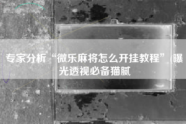 专家分析“微乐麻将怎么开挂教程	”(曝光透视必备猫腻