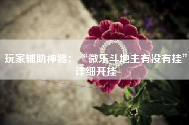 玩家辅助神器：“微乐斗地主有没有挂”详细开挂