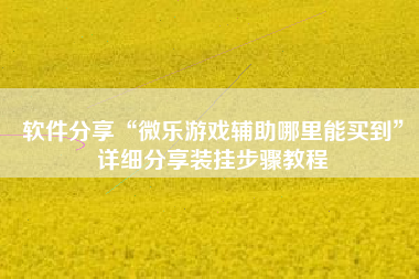 软件分享“微乐游戏辅助哪里能买到”详细分享装挂步骤教程