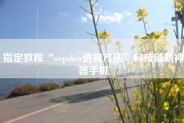 指定教程“wepoker透视方法”科技辅助神器手机
