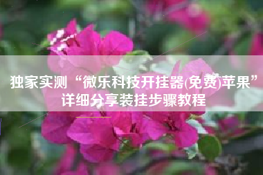 独家实测“微乐科技开挂器(免费)苹果	”详细分享装挂步骤教程