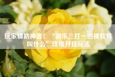 玩家辅助神器：“微乐三打一透视软件叫什么	”详细开挂玩法