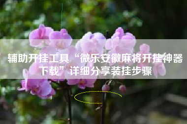 辅助开挂工具“微乐安徽麻将开挂神器下载”详细分享装挂步骤