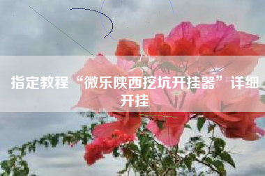 指定教程“微乐陕西挖坑开挂器”详细开挂