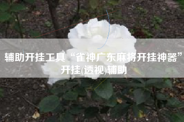 辅助开挂工具“雀神广东麻将开挂神器”开挂(透视)辅助