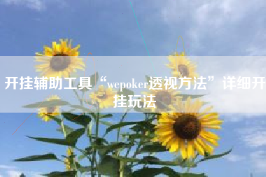开挂辅助工具“wepoker透视方法”详细开挂玩法