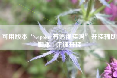 可用版本“wepoker有透视挂吗”开挂辅助脚本+详细开挂