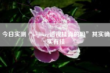 今日实测“wrpoker透视挂真的吗”其实确实有挂
