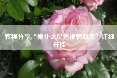 教程分享“德扑之星透视辅助器”详细开挂