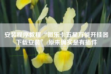 安装程序教程“微乐卡五星万能开挂器下载安装”(原来确实是有插件