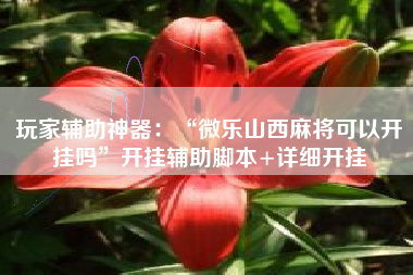 玩家辅助神器：“微乐山西麻将可以开挂吗”开挂辅助脚本+详细开挂