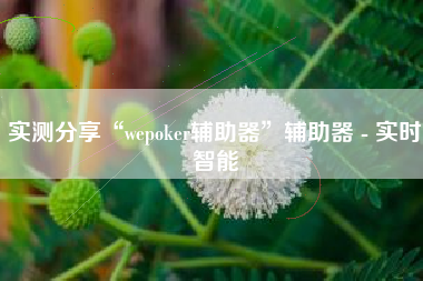 实测分享“wepoker辅助器”辅助器 - 实时智能