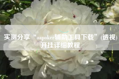 实测分享“aapoker辅助工具下载”(透视)开挂详细教程
