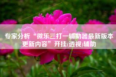 专家分析“微乐三打一辅助器最新版本更新内容”开挂(透视)辅助