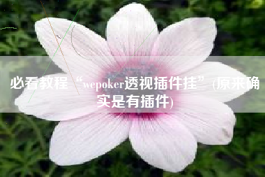 必看教程“wepoker透视插件挂	”(原来确实是有插件)