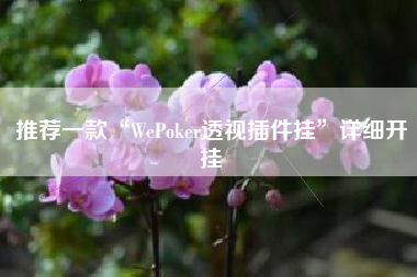 推荐一款“WePoker透视插件挂”详细开挂