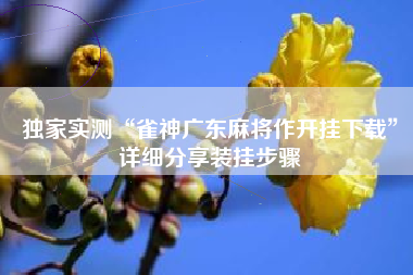 独家实测“雀神广东麻将作开挂下载”详细分享装挂步骤