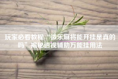 玩家必看教程“微乐麻将能开挂是真的吗”揭秘透视辅助万能挂用法