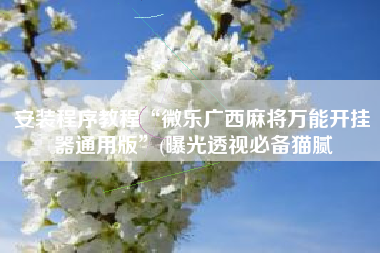 安装程序教程“微乐广西麻将万能开挂器通用版	”(曝光透视必备猫腻