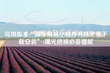 可用版本“微乐麻将小程序开挂免费下载安装	”(曝光透视必备猫腻