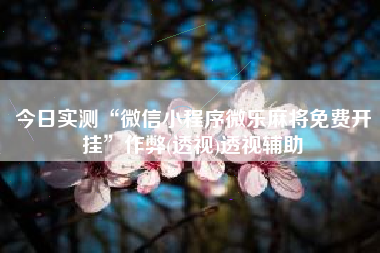 今日实测“微信小程序微乐麻将免费开挂”作弊(透视)透视辅助