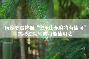 玩家必看教程“微乐山东麻将有挂吗”揭秘透视辅助万能挂用法