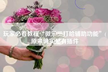 玩家必看教程“微乐三打哈辅助功能	”(原来确实是有插件