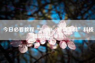 今日必看教程“WePOKer辅助工具”科技辅助神器手机