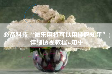 必备科技“微乐麻将可以用挂吗知乎”(详细透视教程)-知乎