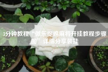 3分钟教程“微乐捉鸡麻将开挂教程步骤图	”详细分享装挂