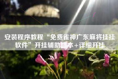 安装程序教程“免费雀神广东麻将挂挂软件”开挂辅助脚本+详细开挂