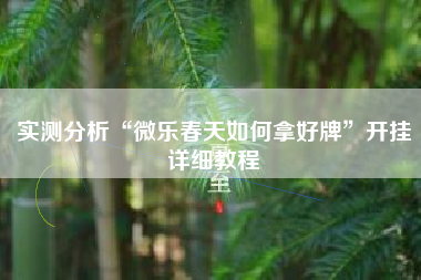 实测分析“微乐春天如何拿好牌”开挂详细教程