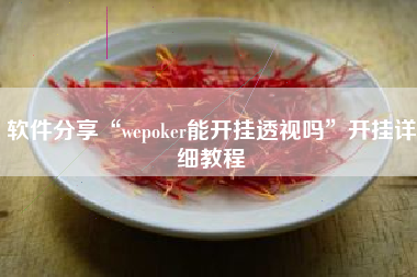 软件分享“wepoker能开挂透视吗”开挂详细教程