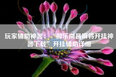 玩家辅助神器：“微乐南昌麻将开挂神器下载	”开挂辅助详细