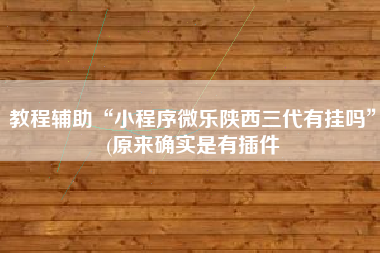 教程辅助“小程序微乐陕西三代有挂吗”(原来确实是有插件