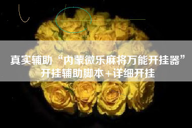 真实辅助“内蒙微乐麻将万能开挂器	”开挂辅助脚本+详细开挂