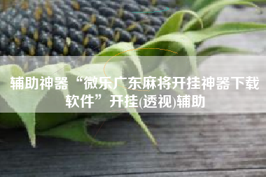 辅助神器“微乐广东麻将开挂神器下载软件”开挂(透视)辅助