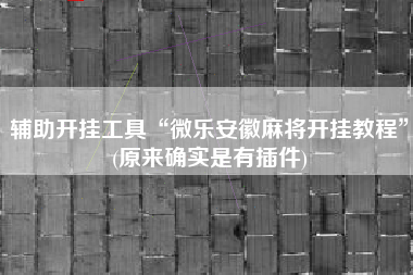 辅助开挂工具“微乐安徽麻将开挂教程	”(原来确实是有插件)