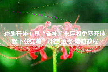 辅助开挂工具“雀神广东麻将免费开挂器下载安装”开挂(透视)辅助教程