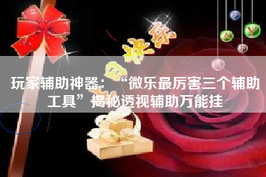 玩家辅助神器：“微乐最厉害三个辅助工具”揭秘透视辅助万能挂